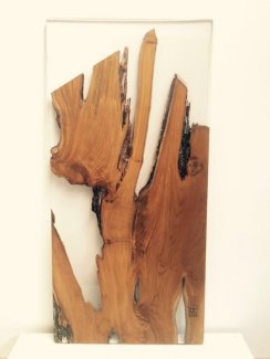 Salvaged Teak From A Forest Fire Encased in Clear